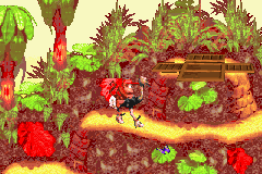 Donkey Kong Country